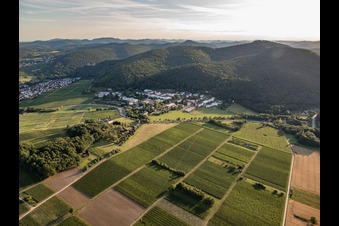 Vue aérienne de Pfalzklinik Landeck depuis le nord-est à Klingenmünster dans le département Rhénanie-Palatinat, Allemagne