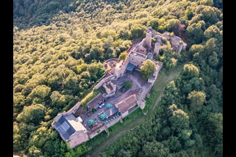 Ruines du château de Madenburg à Eschbach dans le département Rhénanie-Palatinat, Allemagne vue du ciel