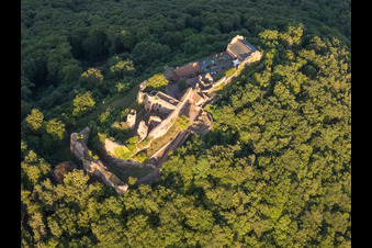 Vue aérienne de Ruines du château de Madenburg vues de l'ouest à Eschbach dans le département Rhénanie-Palatinat, Allemagne