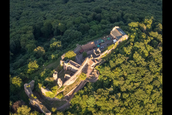 Photographie aérienne de Ruines du château de Madenburg vues de l'ouest à Eschbach dans le département Rhénanie-Palatinat, Allemagne