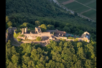 Ruines du château de Madenburg vues de l'ouest à Eschbach dans le département Rhénanie-Palatinat, Allemagne hors des airs