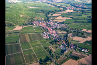 Vue aérienne de Vue d'ensemble du village depuis le nord-ouest à Göcklingen dans le département Rhénanie-Palatinat, Allemagne