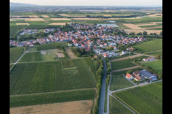 Vue oblique de Vue du village depuis le sud à Impflingen dans le département Rhénanie-Palatinat, Allemagne