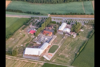 Vue aérienne de Parc de golf de football Südpfalz et Adamshof Kandel à Kandel dans le département Rhénanie-Palatinat, Allemagne