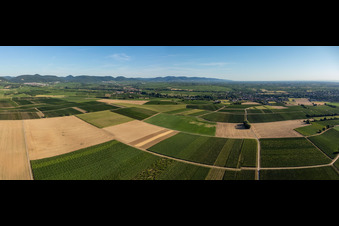 Vue aérienne de Panorama des champs et des vignobles autour de Billigheim à le quartier Ingenheim in Billigheim-Ingenheim dans le département Rhénanie-Palatinat, Allemagne
