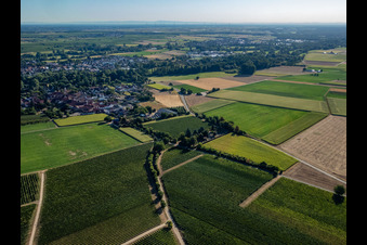Vue d'oiseau de Quartier Mühlhofen in Billigheim-Ingenheim dans le département Rhénanie-Palatinat, Allemagne