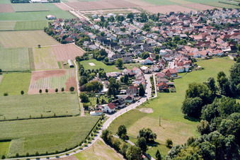 Vue aérienne de Du nord de la Niedergasse à Steinweiler dans le département Rhénanie-Palatinat, Allemagne