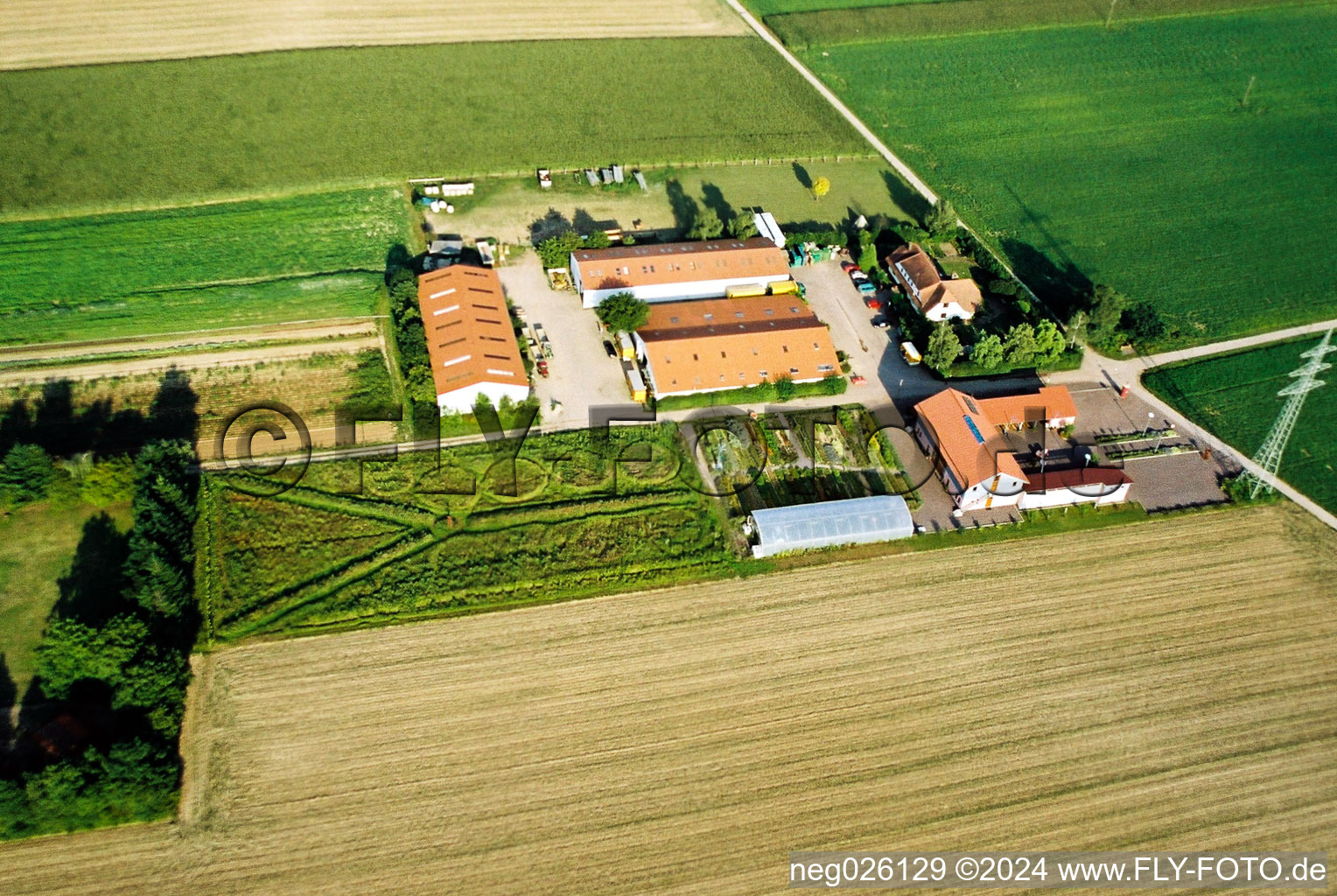 Vue aérienne de Schlossberghof à Minfeld dans le département Rhénanie-Palatinat, Allemagne