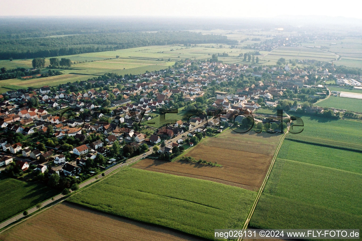 Vue aérienne de Du nord-est à Minfeld dans le département Rhénanie-Palatinat, Allemagne