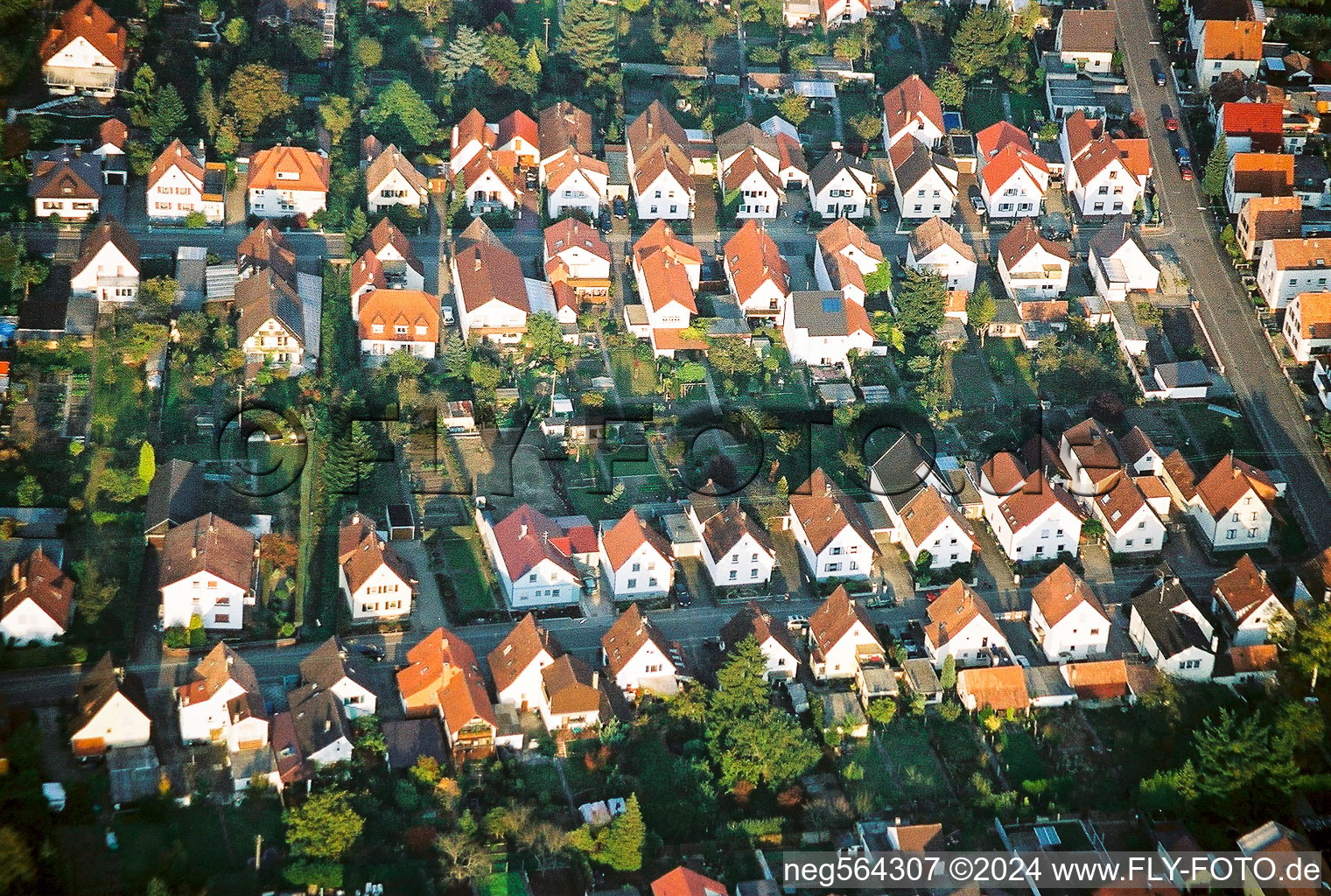 Vue aérienne de Birkenstrasse Waldstr. à Kandel dans le département Rhénanie-Palatinat, Allemagne