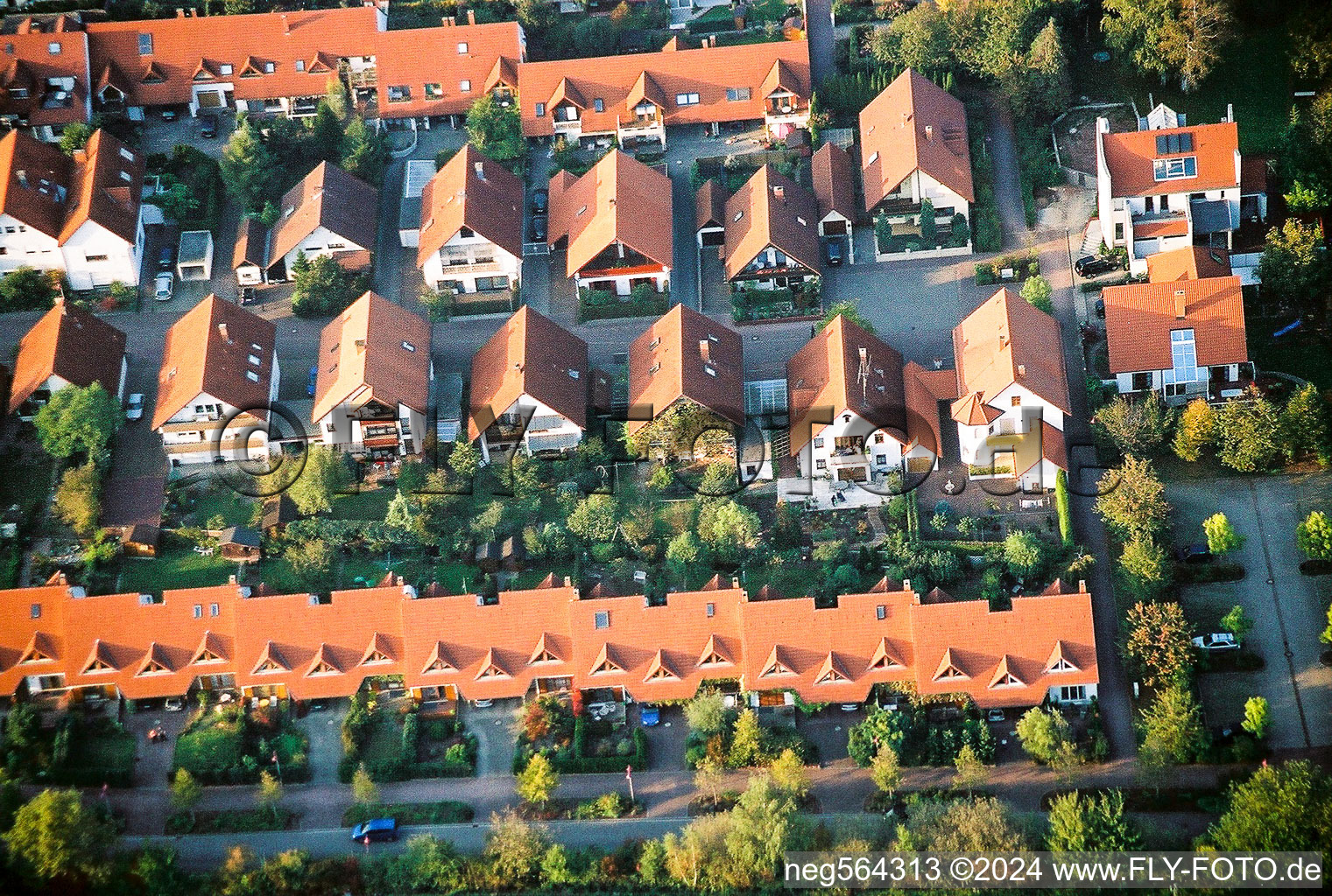 Vue aérienne de Nußbaumallee, dans le jardin de l'église à Kandel dans le département Rhénanie-Palatinat, Allemagne