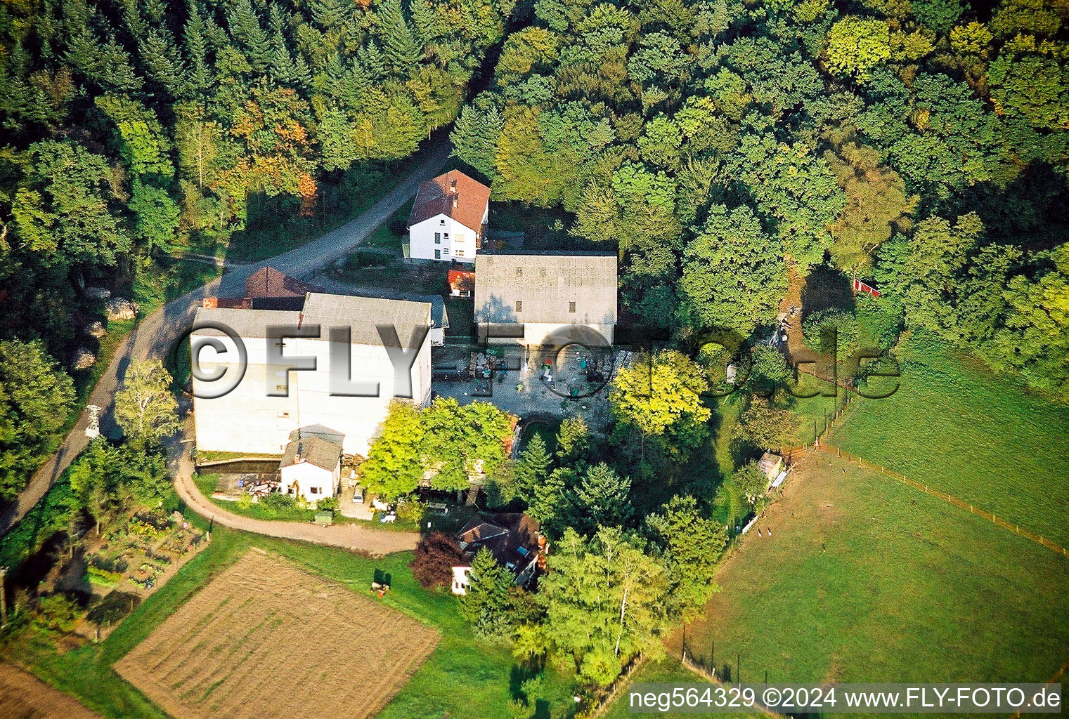 Vue aérienne de Moulin à eau historique dans une ferme entre forêt et prairies à Minfeld dans le département Rhénanie-Palatinat, Allemagne