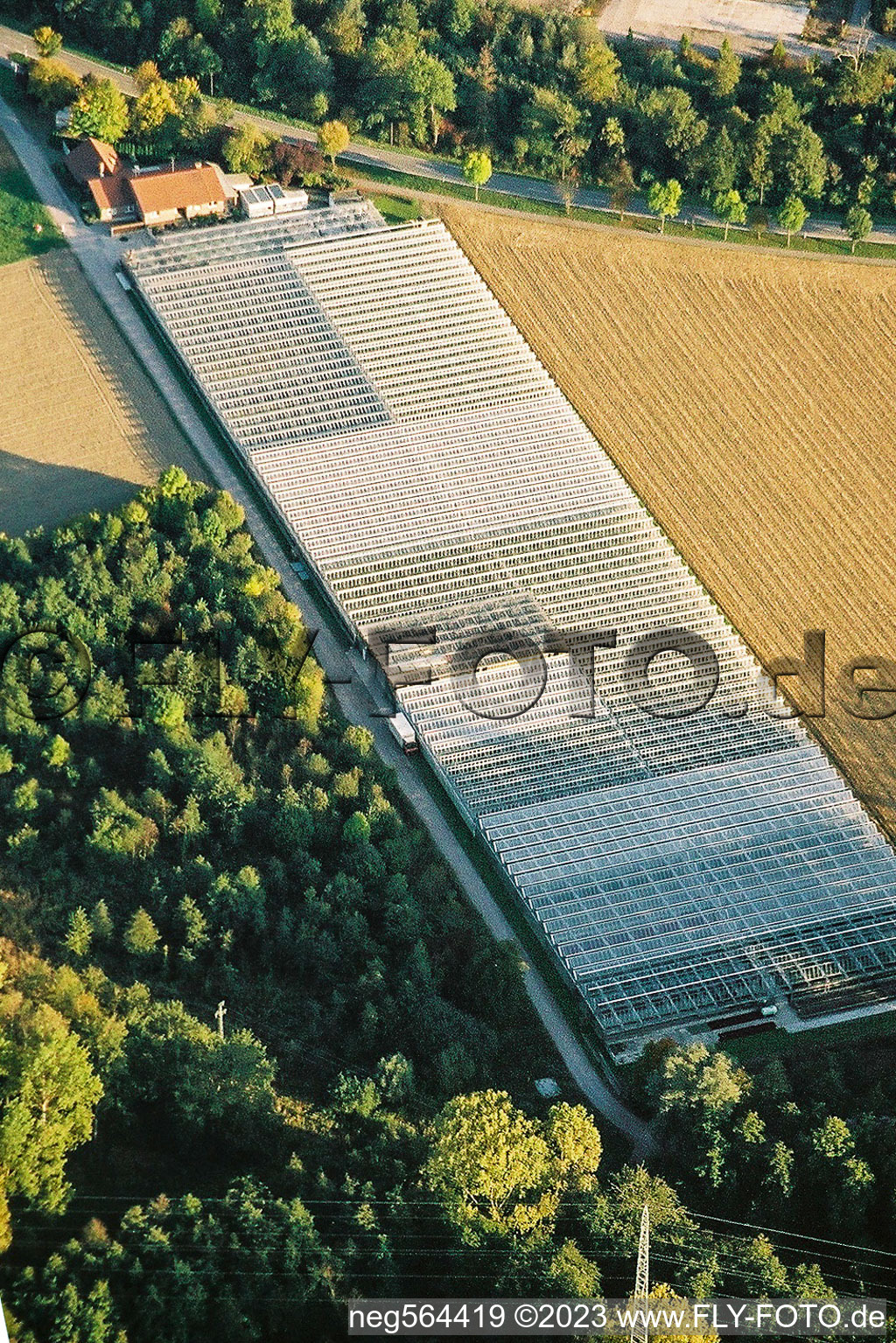 Vue aérienne de Jardinage à le quartier Sondernheim in Germersheim dans le département Rhénanie-Palatinat, Allemagne