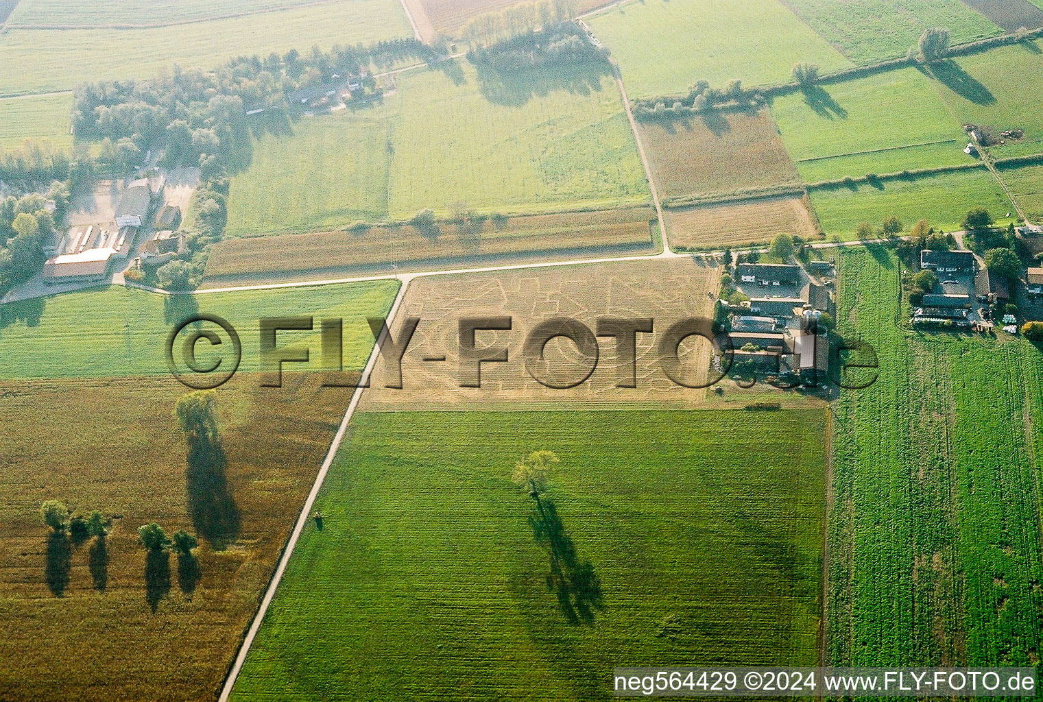 Vue aérienne de Labyrinthe de maïs récolté dans un champ à Hockenheim dans le département Bade-Wurtemberg, Allemagne