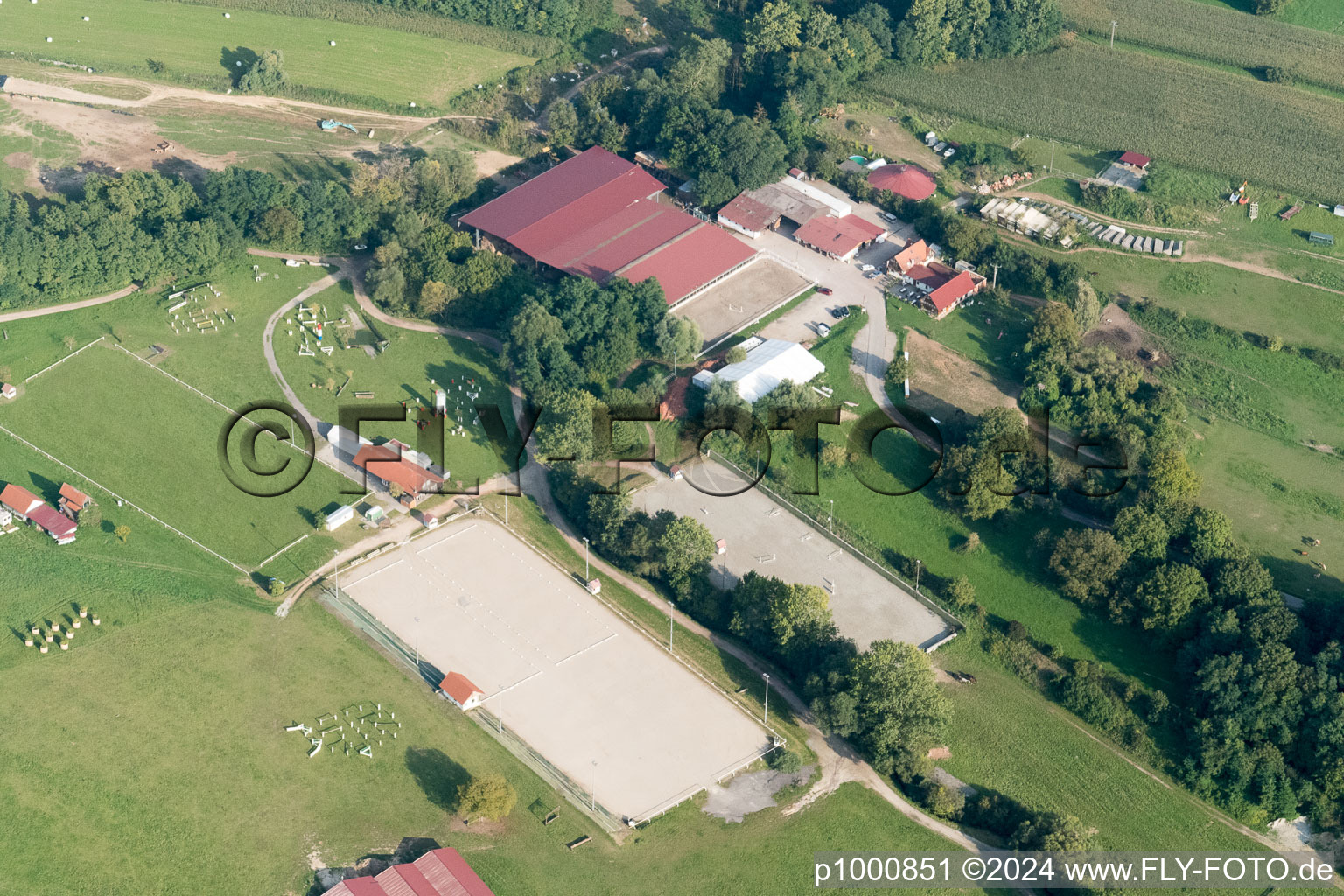 Haras de la Née à Neewiller-près-Lauterbourg dans le département Bas Rhin, France d'un drone