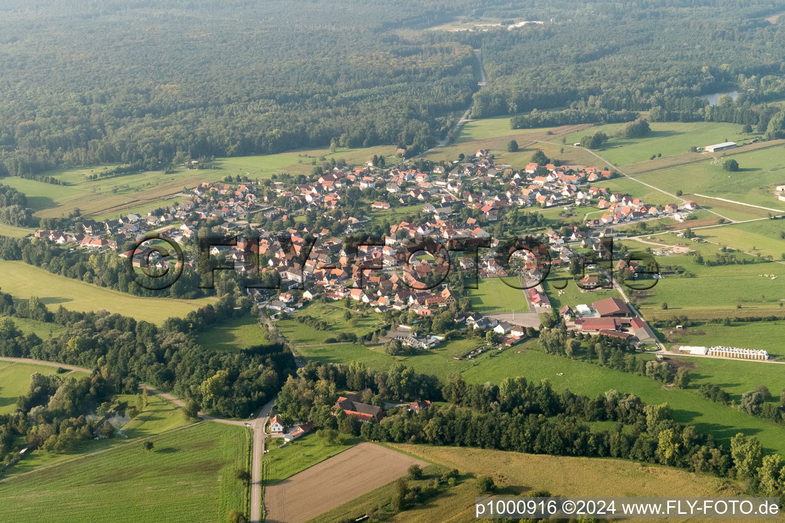 Vue aérienne de Champs agricoles et surfaces utilisables à Forstfeld dans le département Bas Rhin, France