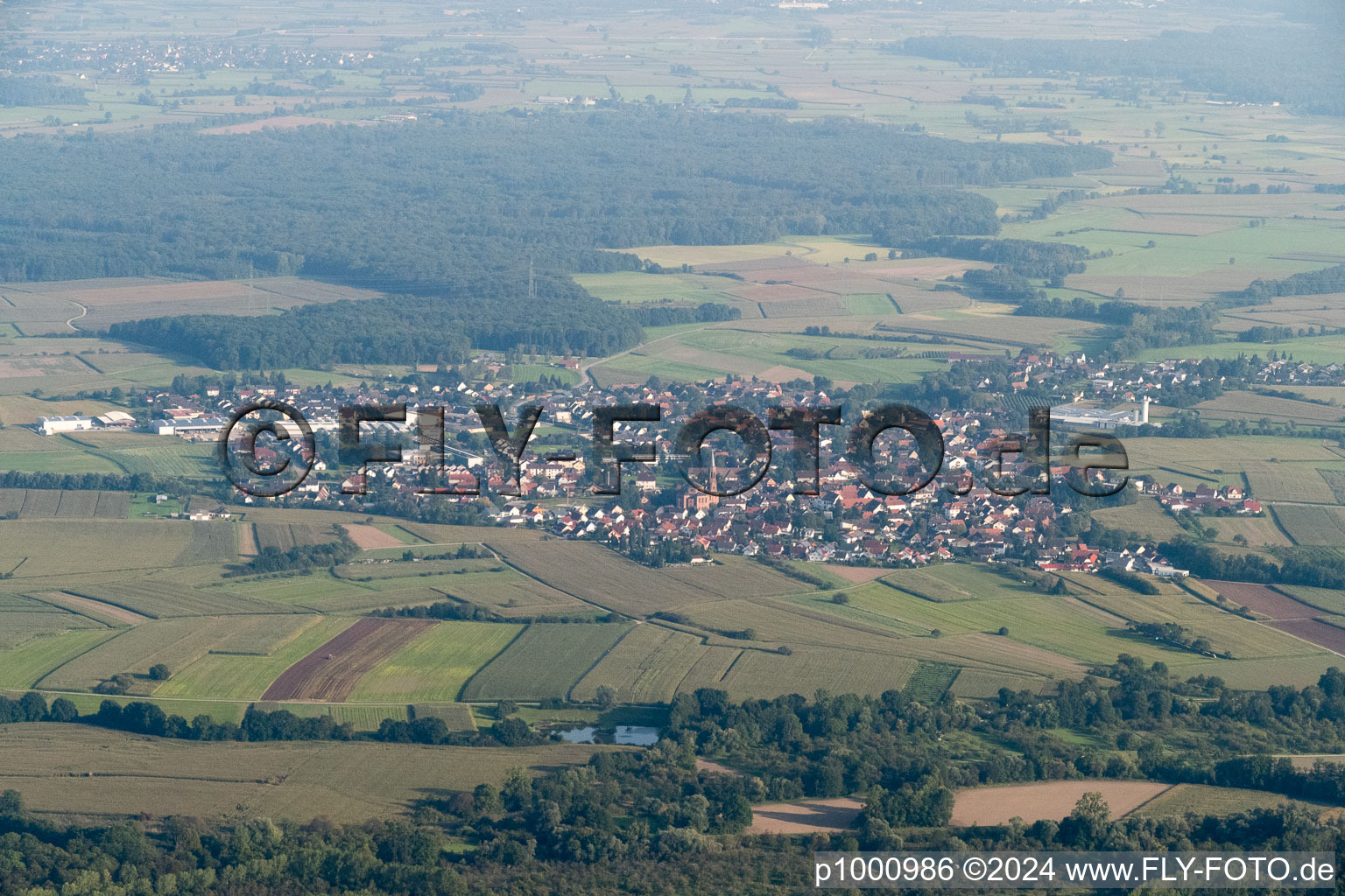 Vue aérienne de Rheinbishopsheim à Gambsheim dans le département Bas Rhin, France