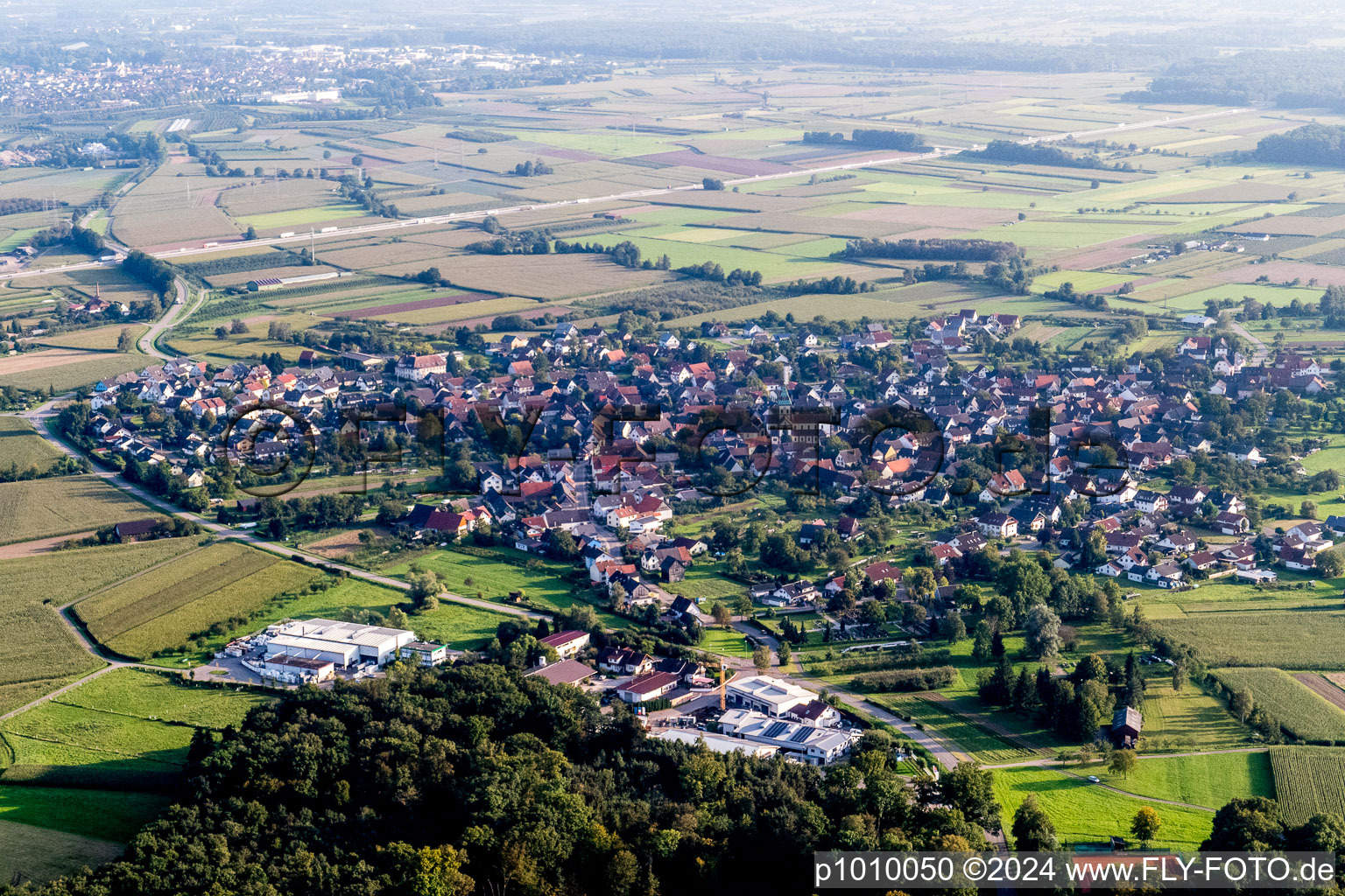 Vue aérienne de Champs agricoles et surfaces utilisables à le quartier Wagshurst in Achern dans le département Bade-Wurtemberg, Allemagne