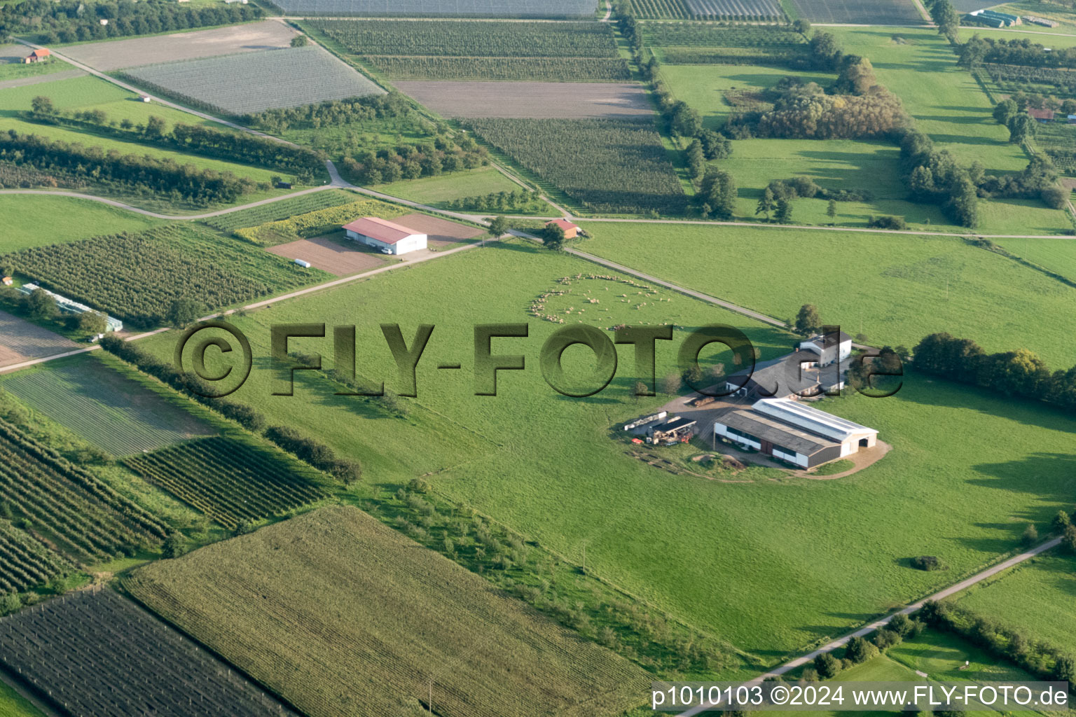 Photographie aérienne de Quartier Erlach in Renchen dans le département Bade-Wurtemberg, Allemagne