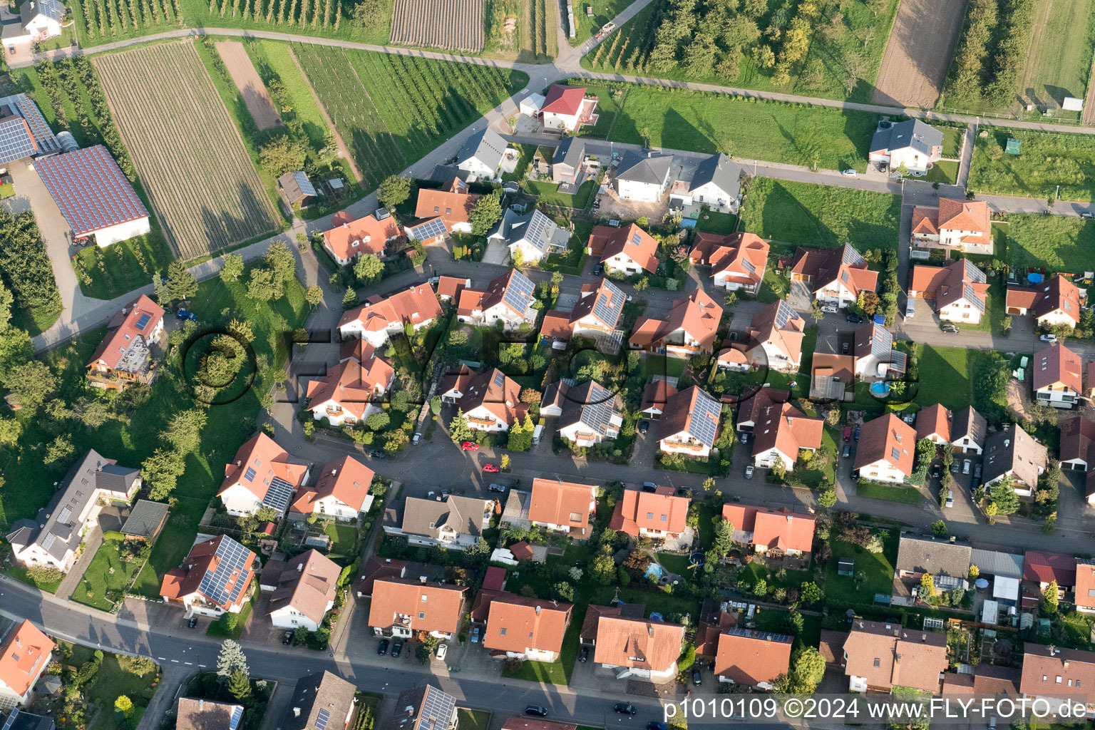 Vue aérienne de Zöllerhöfstr à le quartier Erlach in Renchen dans le département Bade-Wurtemberg, Allemagne