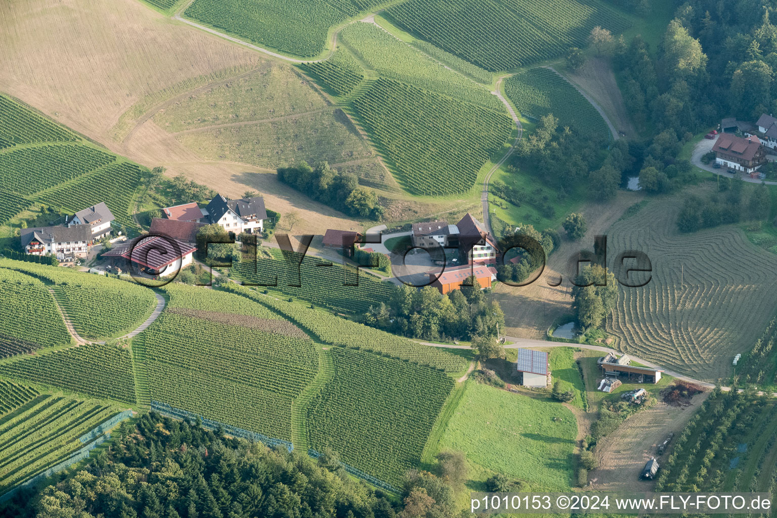 Vue aérienne de À Eckenberg à Oberkirch dans le département Bade-Wurtemberg, Allemagne