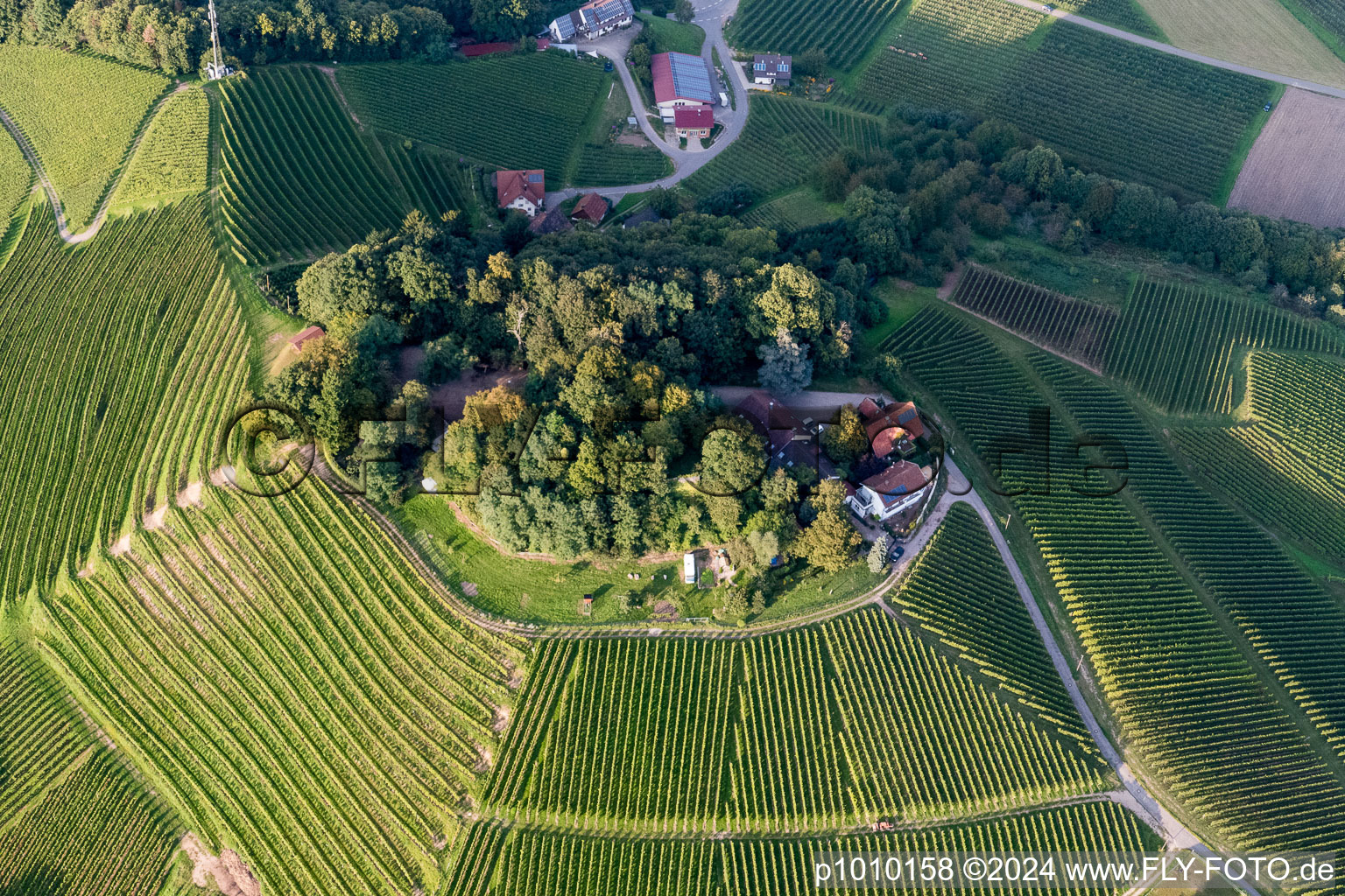 Vue aérienne de Paysage viticole des terroirs viticoles à Oberkirch dans le département Bade-Wurtemberg, Allemagne