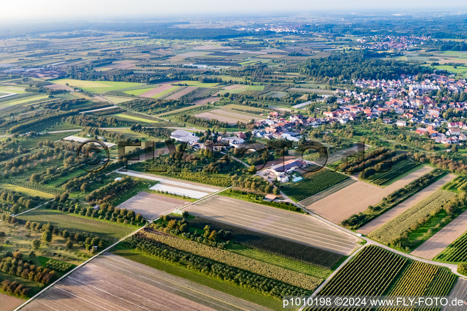 Vue aérienne de Quartier Zusenhofen in Oberkirch dans le département Bade-Wurtemberg, Allemagne