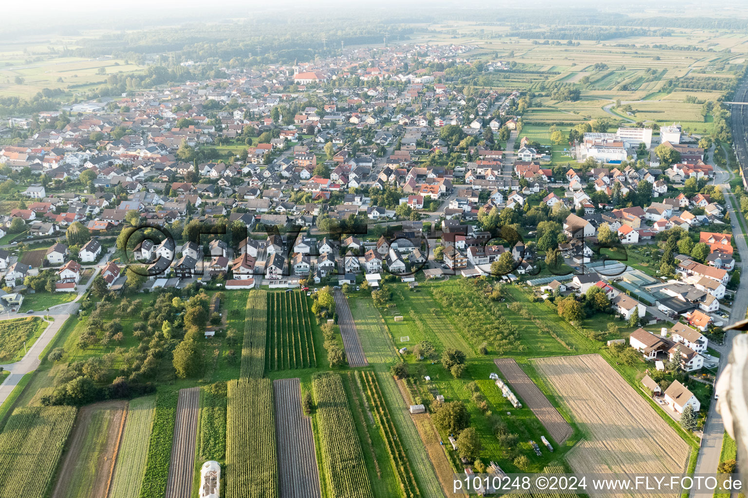 Rue Runzweg à le quartier Urloffen in Appenweier dans le département Bade-Wurtemberg, Allemagne depuis l'avion