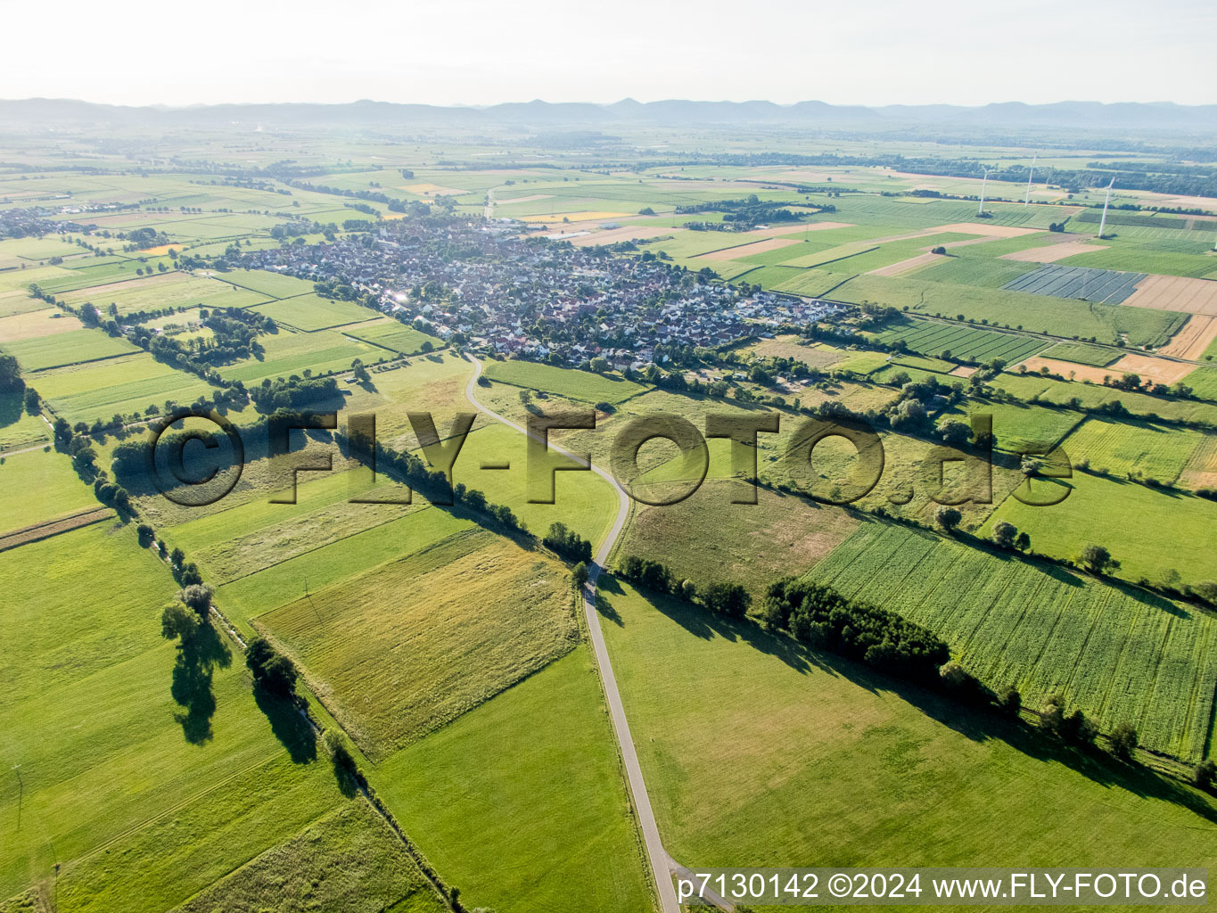 Enregistrement par drone de Minfeld dans le département Rhénanie-Palatinat, Allemagne