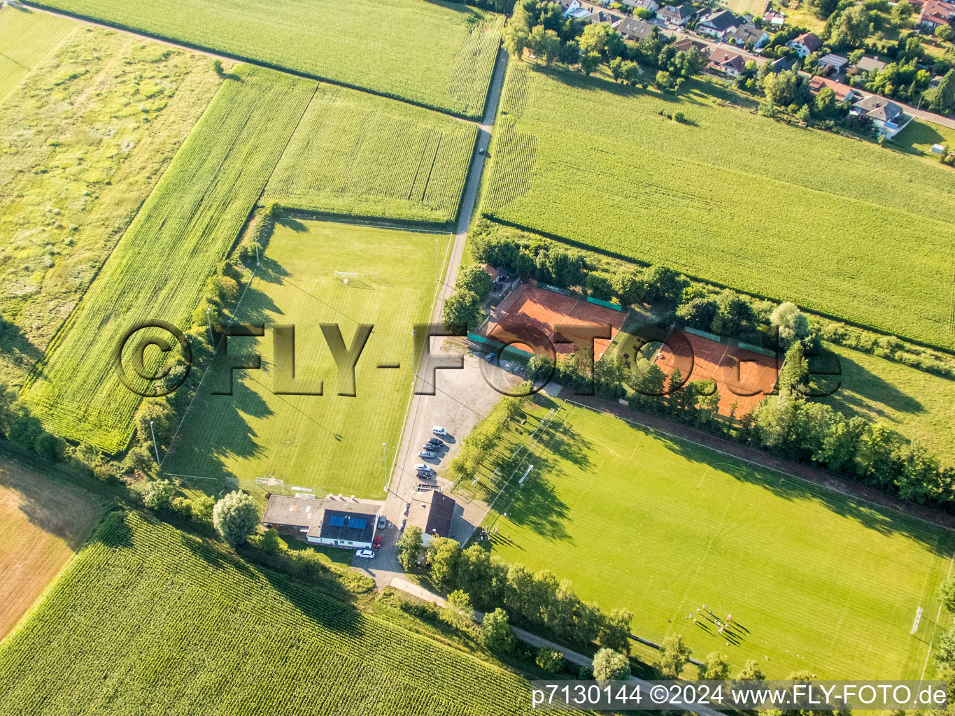 Minfeld dans le département Rhénanie-Palatinat, Allemagne du point de vue du drone