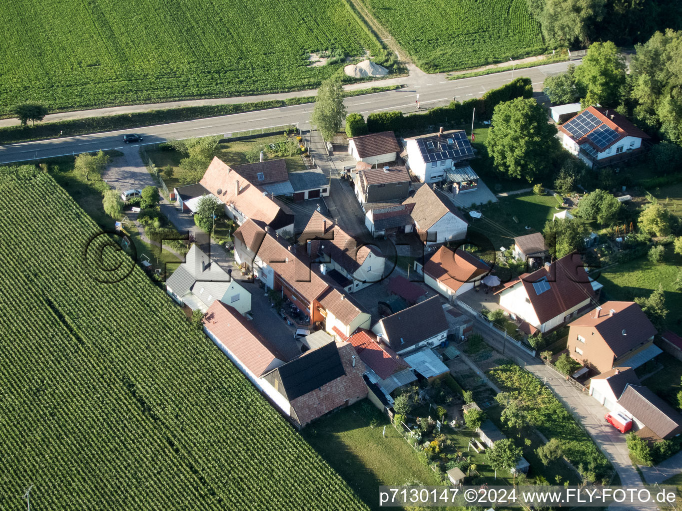 Minfeld dans le département Rhénanie-Palatinat, Allemagne vu d'un drone