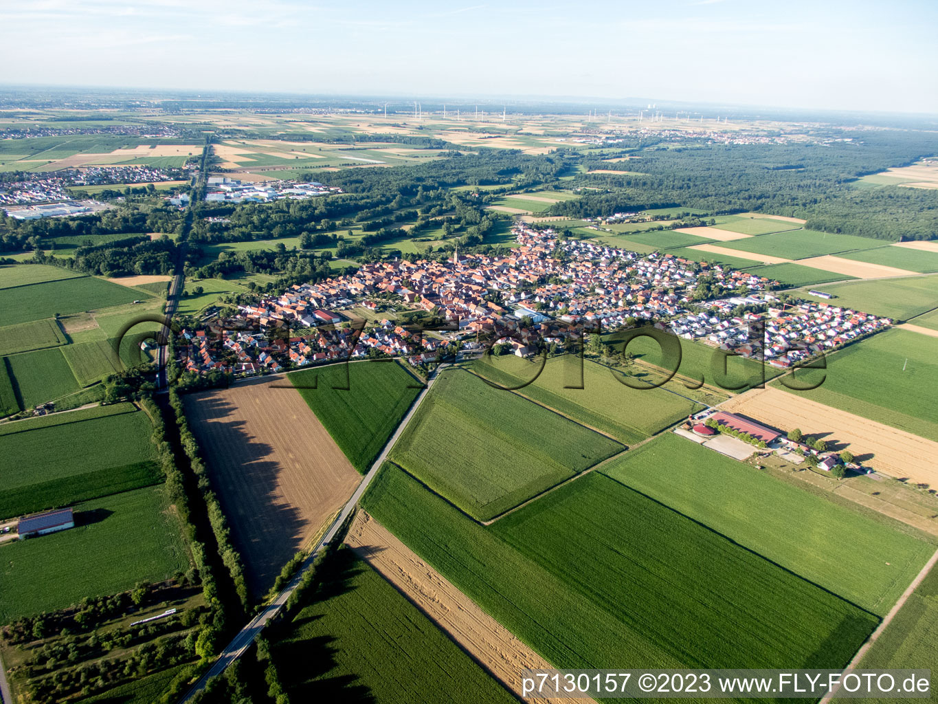 Steinweiler dans le département Rhénanie-Palatinat, Allemagne hors des airs