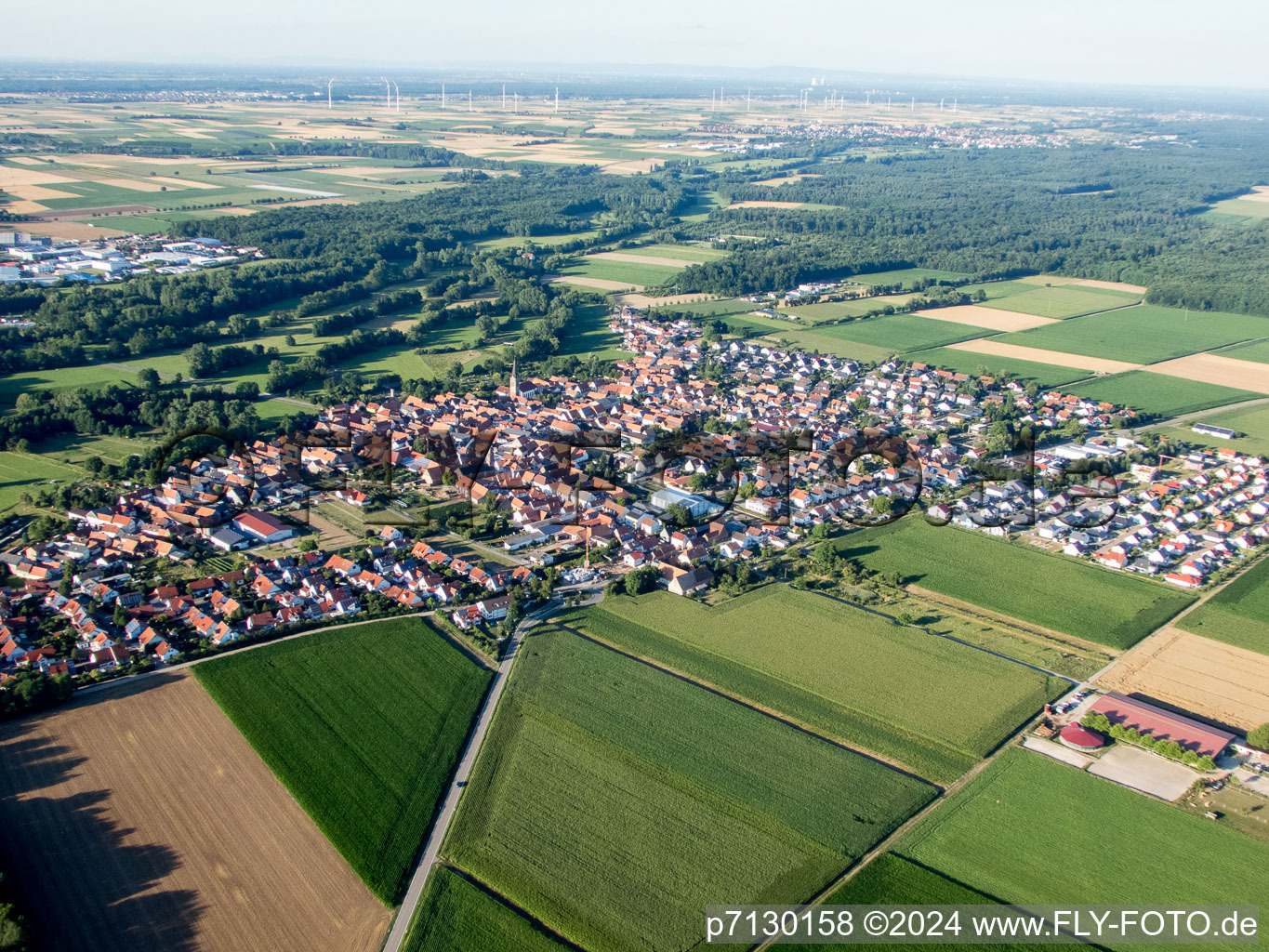 Steinweiler dans le département Rhénanie-Palatinat, Allemagne vue d'en haut