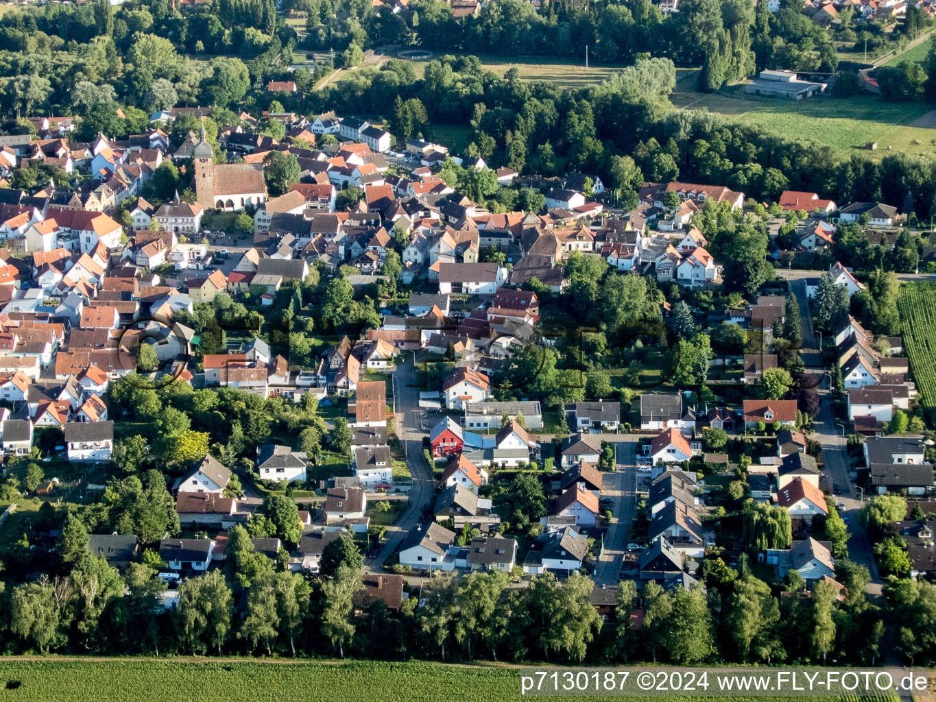 Image drone de Quartier Billigheim in Billigheim-Ingenheim dans le département Rhénanie-Palatinat, Allemagne