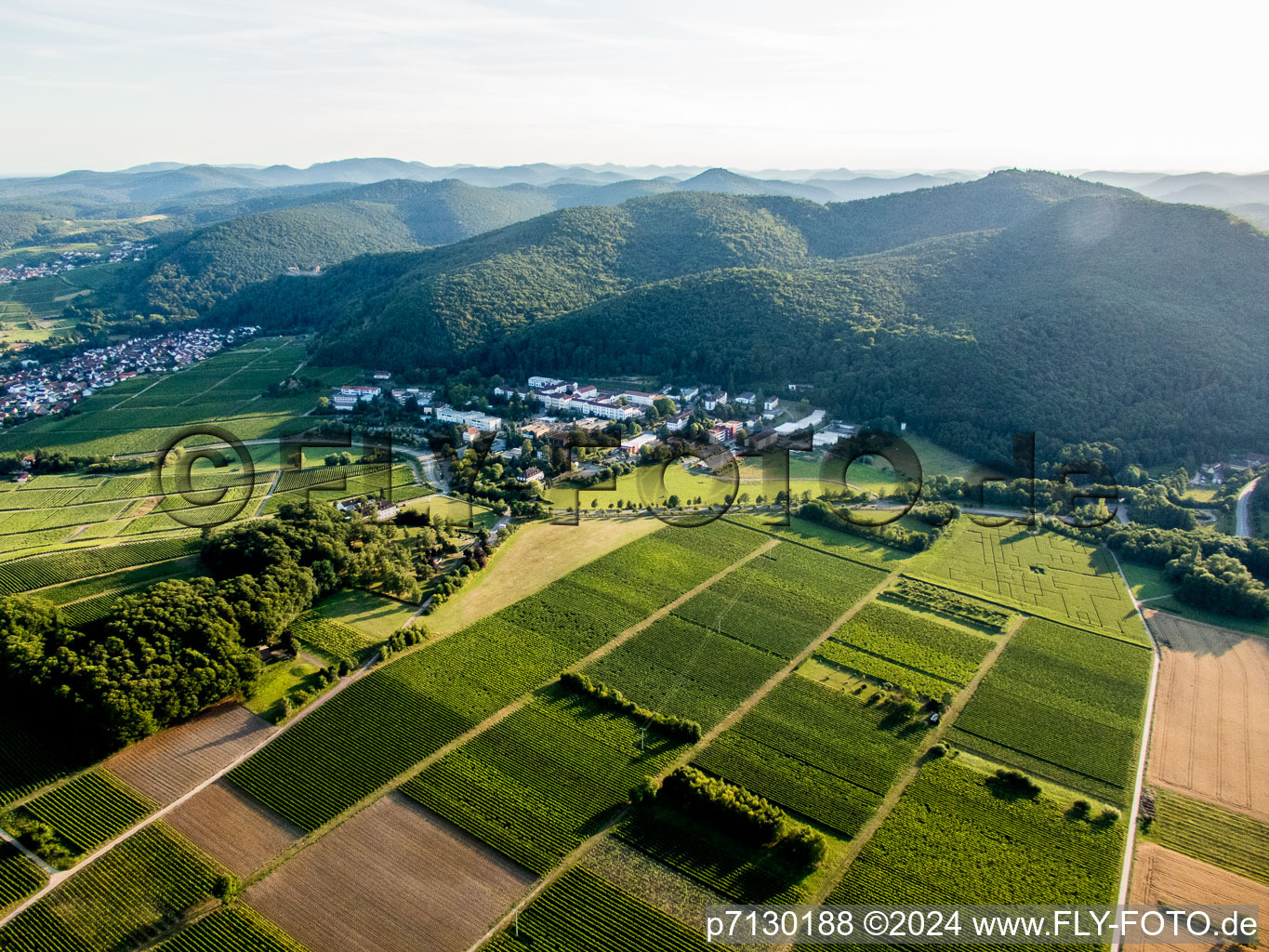 Vue aérienne de Klingenmünster dans le département Rhénanie-Palatinat, Allemagne