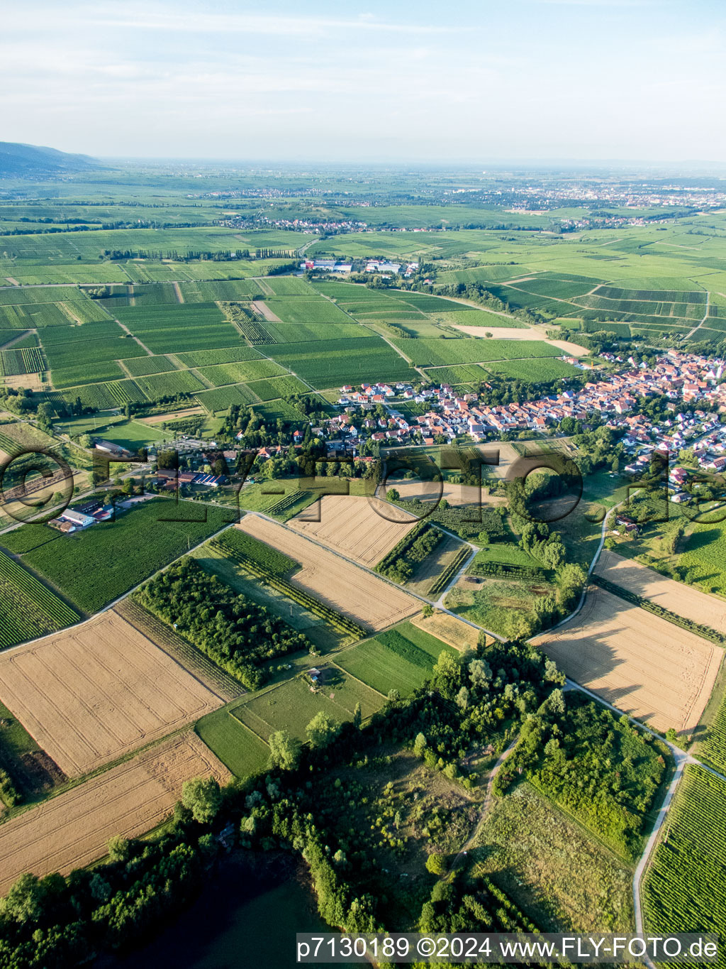 Göcklingen dans le département Rhénanie-Palatinat, Allemagne d'en haut