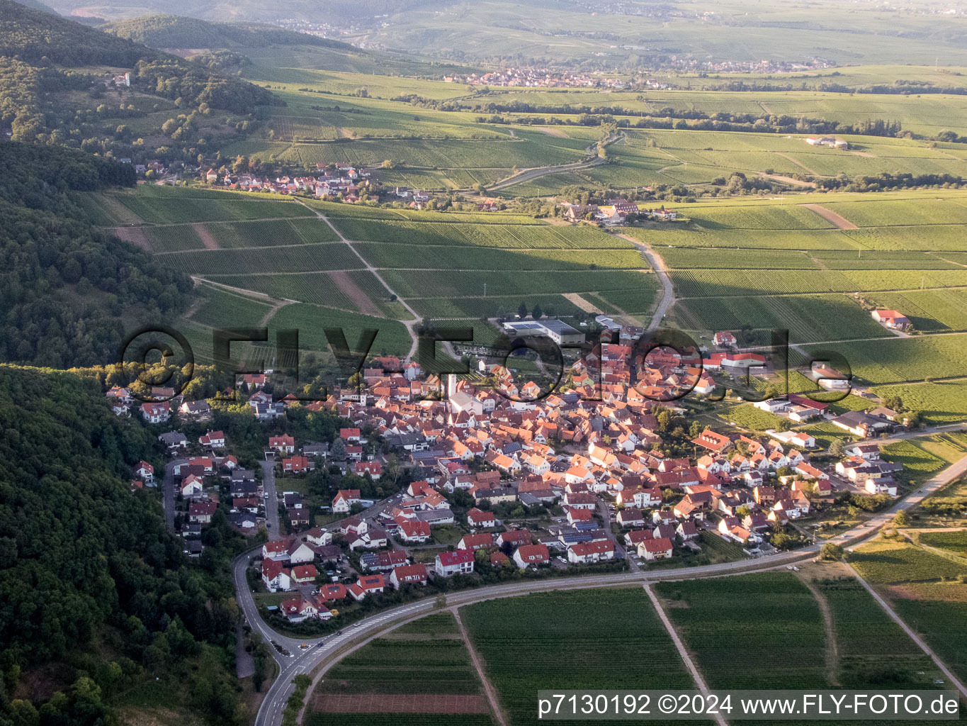 Vue aérienne de Eschbach dans le département Rhénanie-Palatinat, Allemagne