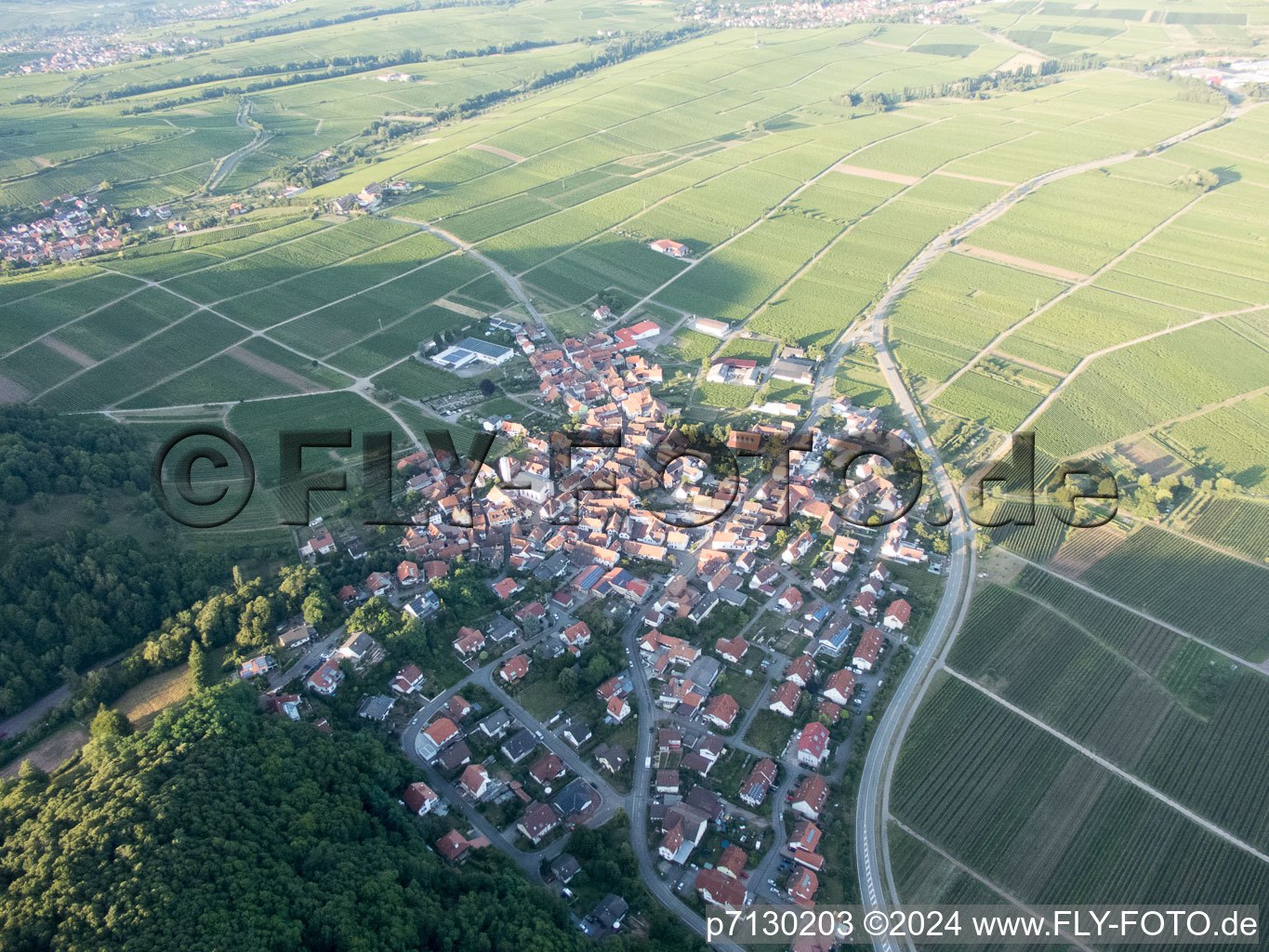 Photographie aérienne de Eschbach dans le département Rhénanie-Palatinat, Allemagne