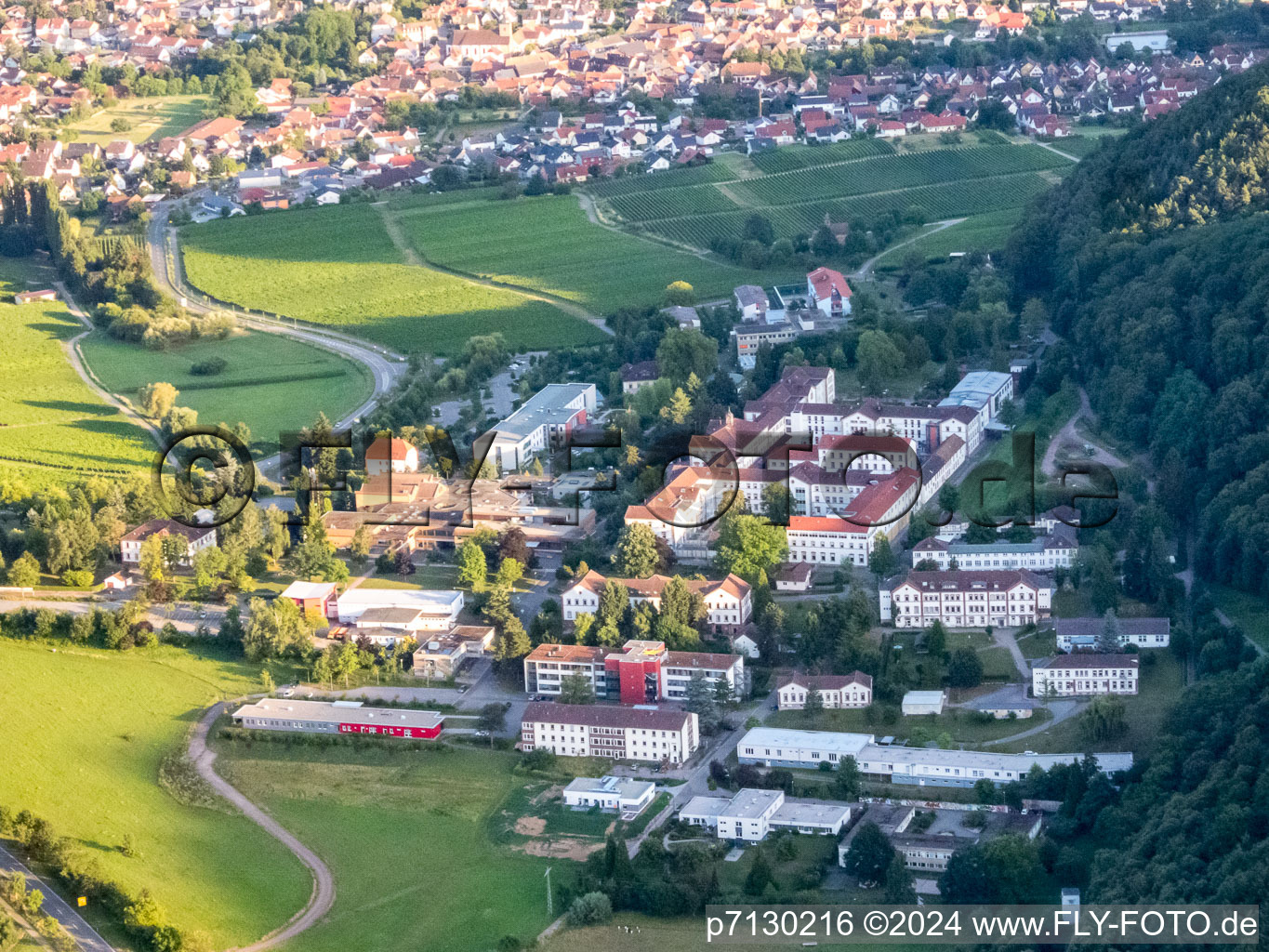 Vue aérienne de Clinique à Klingenmünster dans le département Rhénanie-Palatinat, Allemagne