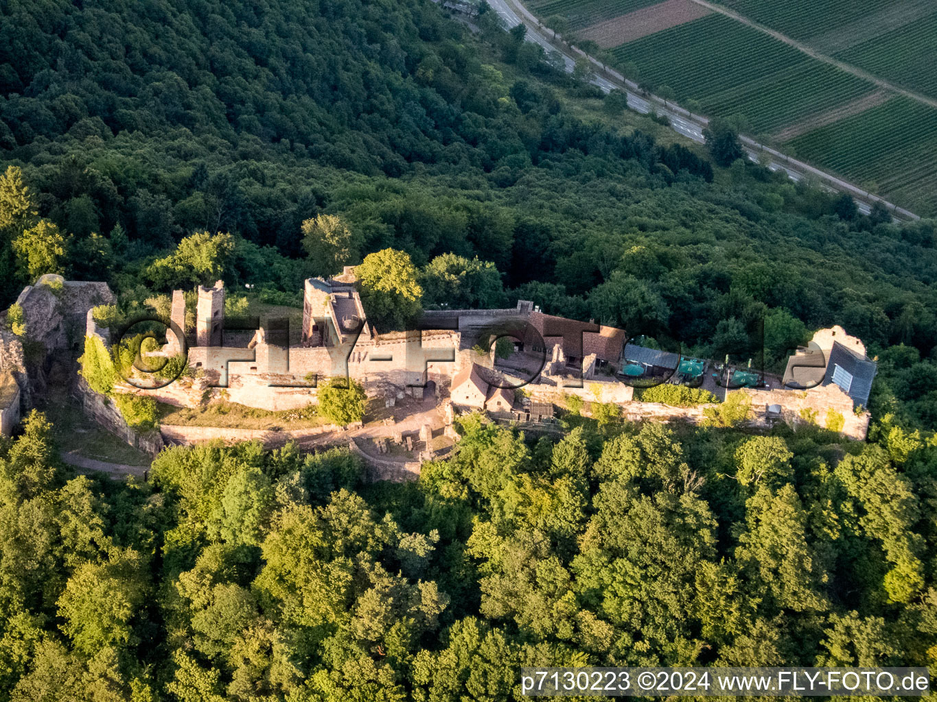 Vue oblique de Madenbourg à Eschbach dans le département Rhénanie-Palatinat, Allemagne