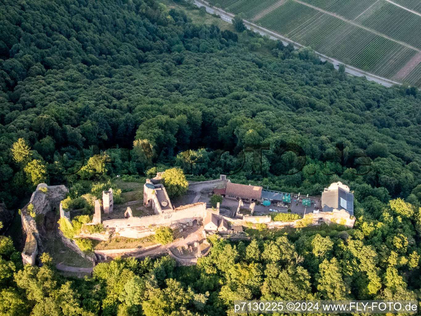 Madenbourg à Eschbach dans le département Rhénanie-Palatinat, Allemagne d'en haut