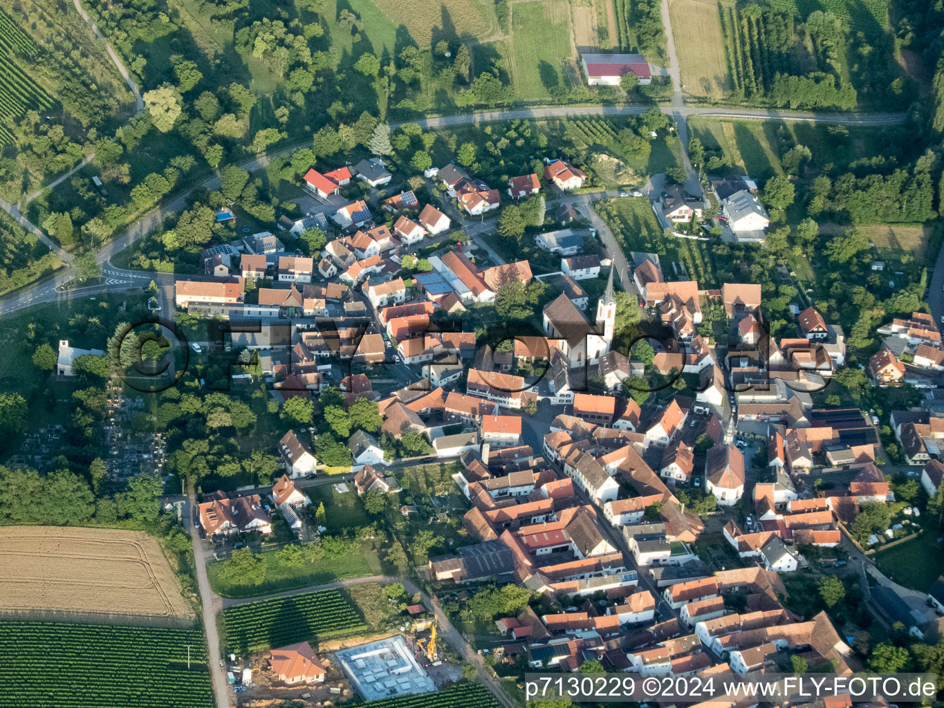 Göcklingen dans le département Rhénanie-Palatinat, Allemagne depuis l'avion