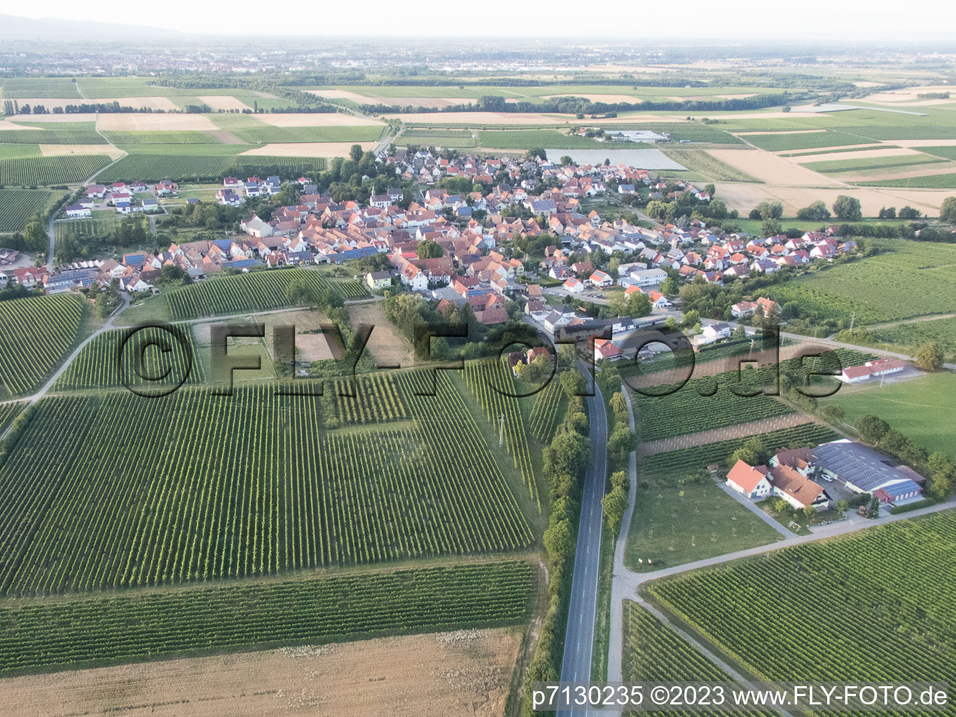 Vue aérienne de Impflingen dans le département Rhénanie-Palatinat, Allemagne