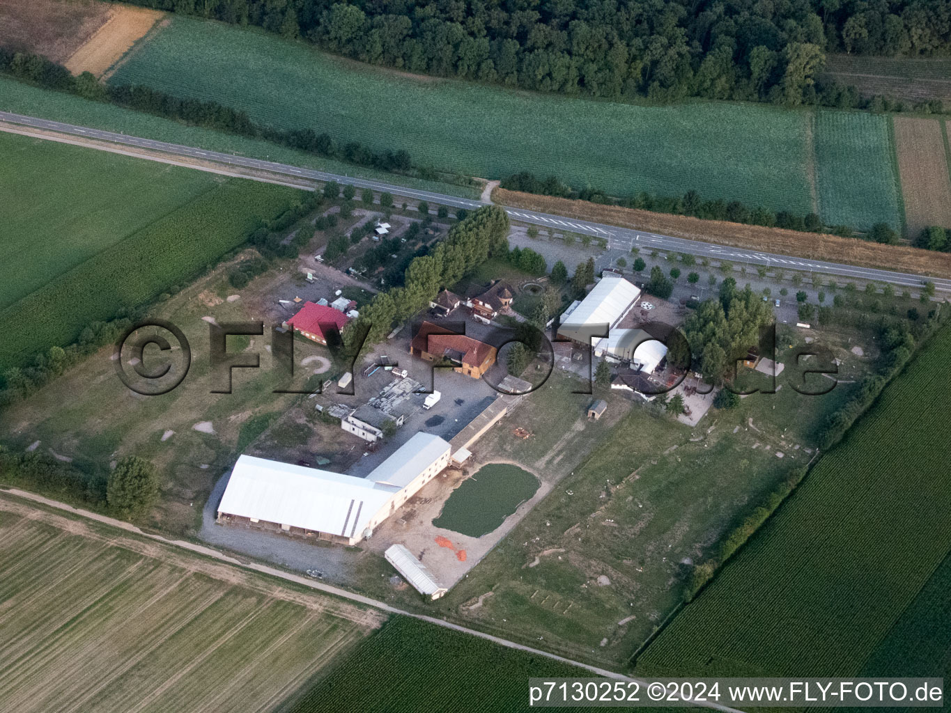 Kandel dans le département Rhénanie-Palatinat, Allemagne du point de vue du drone