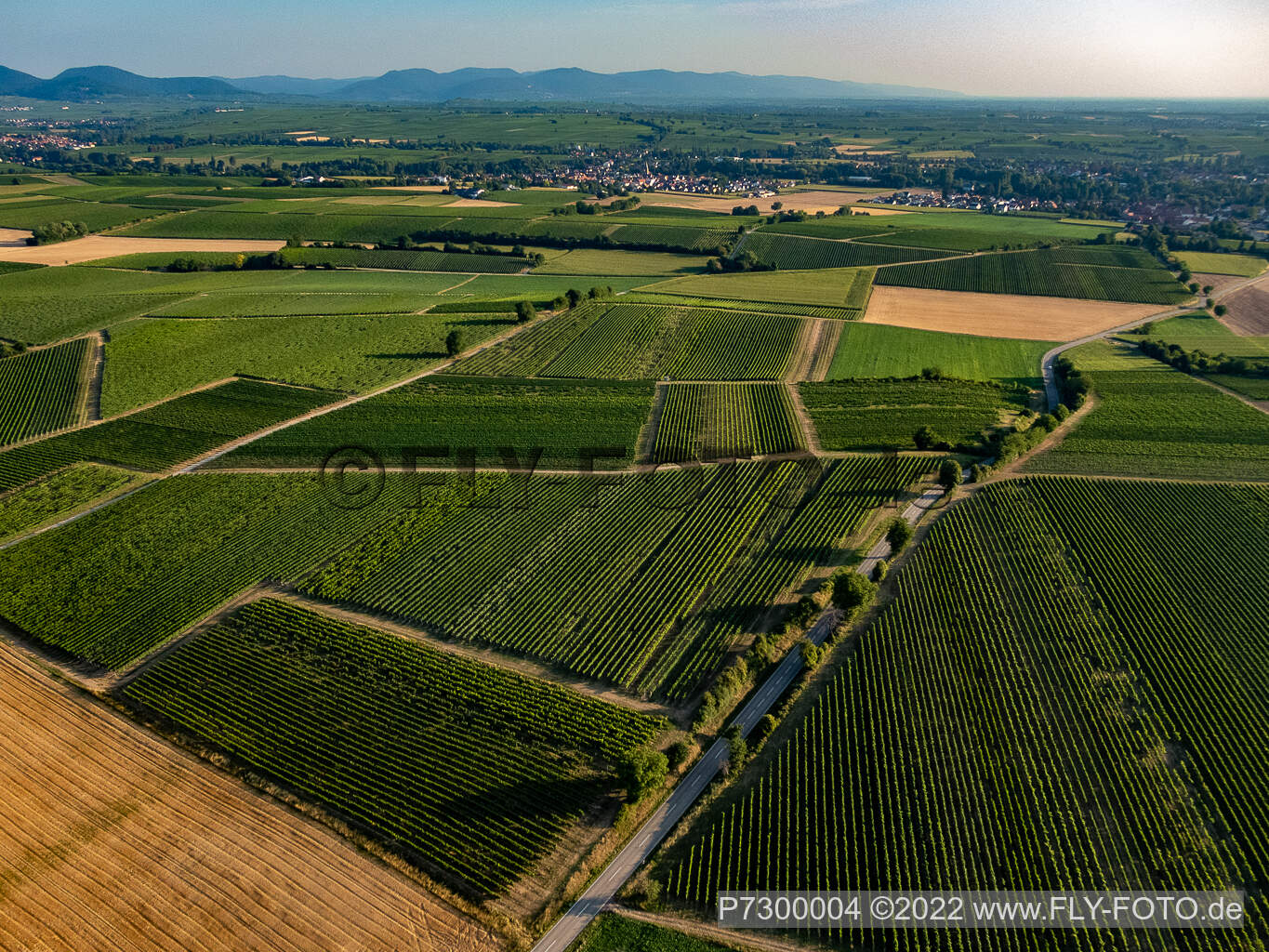 Vue aérienne de Champs et vignobles autour de Billigheim à le quartier Ingenheim in Billigheim-Ingenheim dans le département Rhénanie-Palatinat, Allemagne