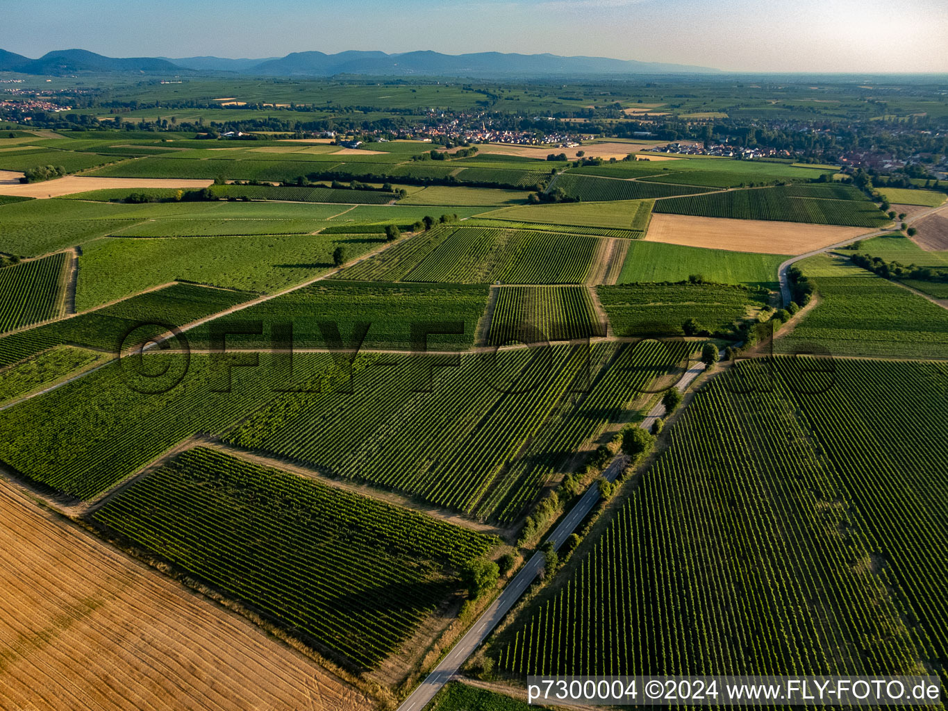 Vue aérienne de Champs et vignobles autour de Billigheim à le quartier Ingenheim in Billigheim-Ingenheim dans le département Rhénanie-Palatinat, Allemagne