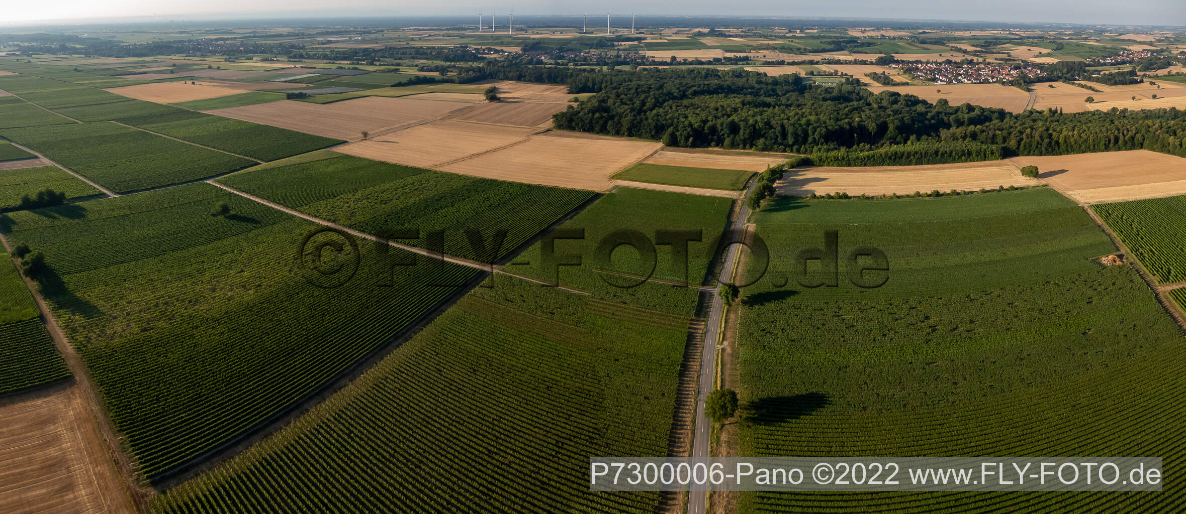Vue aérienne de Champs et vignobles entre Barbelroth et Winden à Barbelroth dans le département Rhénanie-Palatinat, Allemagne