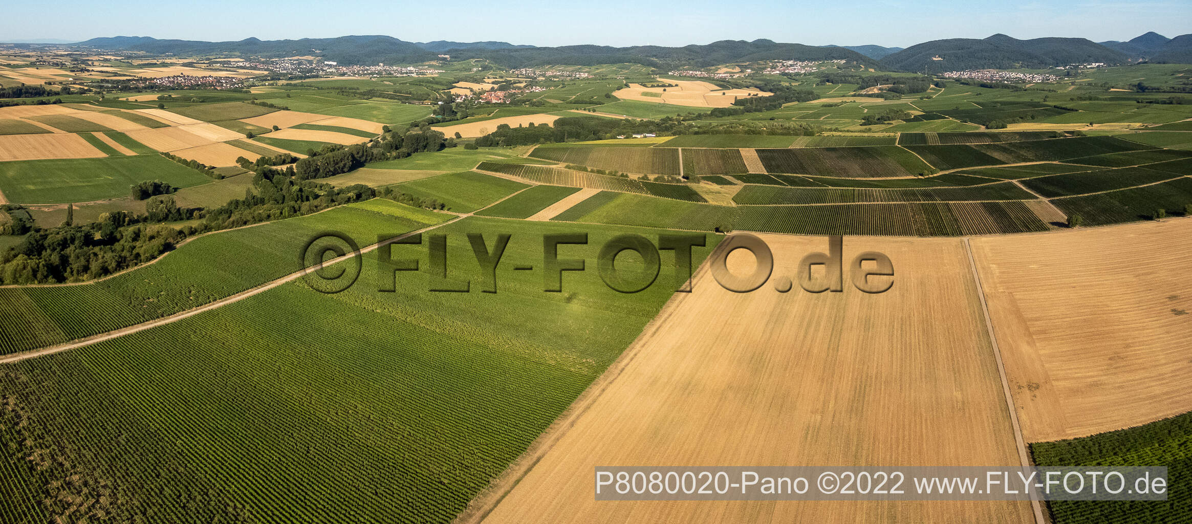 Vue aérienne de Champs et vignobles du Horbachtal à Niederhorbach dans le département Rhénanie-Palatinat, Allemagne