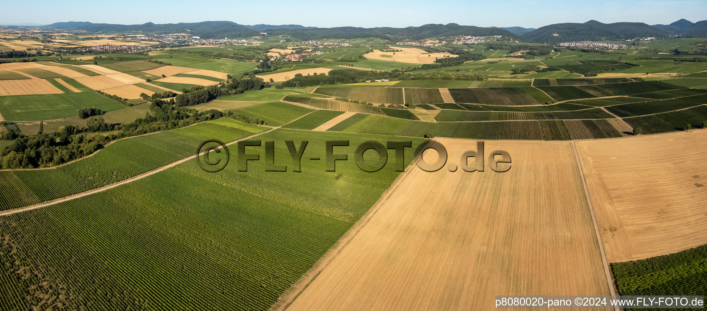 Vue aérienne de Champs et vignobles du Horbachtal à Niederhorbach dans le département Rhénanie-Palatinat, Allemagne