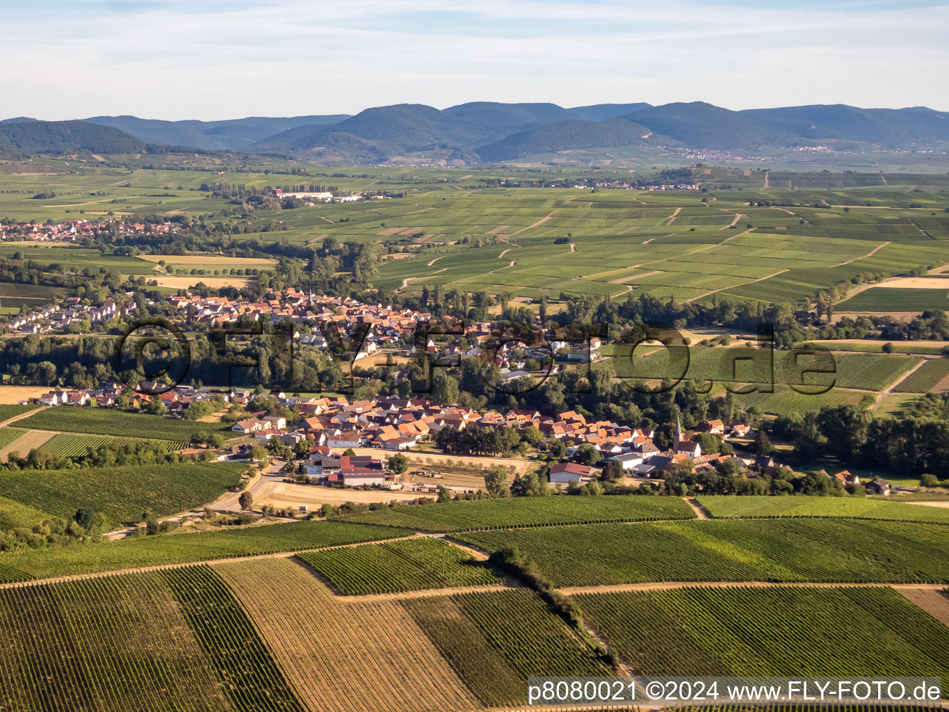 Vue aérienne de Quartier Klingen in Heuchelheim-Klingen dans le département Rhénanie-Palatinat, Allemagne